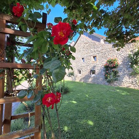 Ferienwohnung Ueberblick Radolfzell am Bodensee Dış mekan fotoğraf