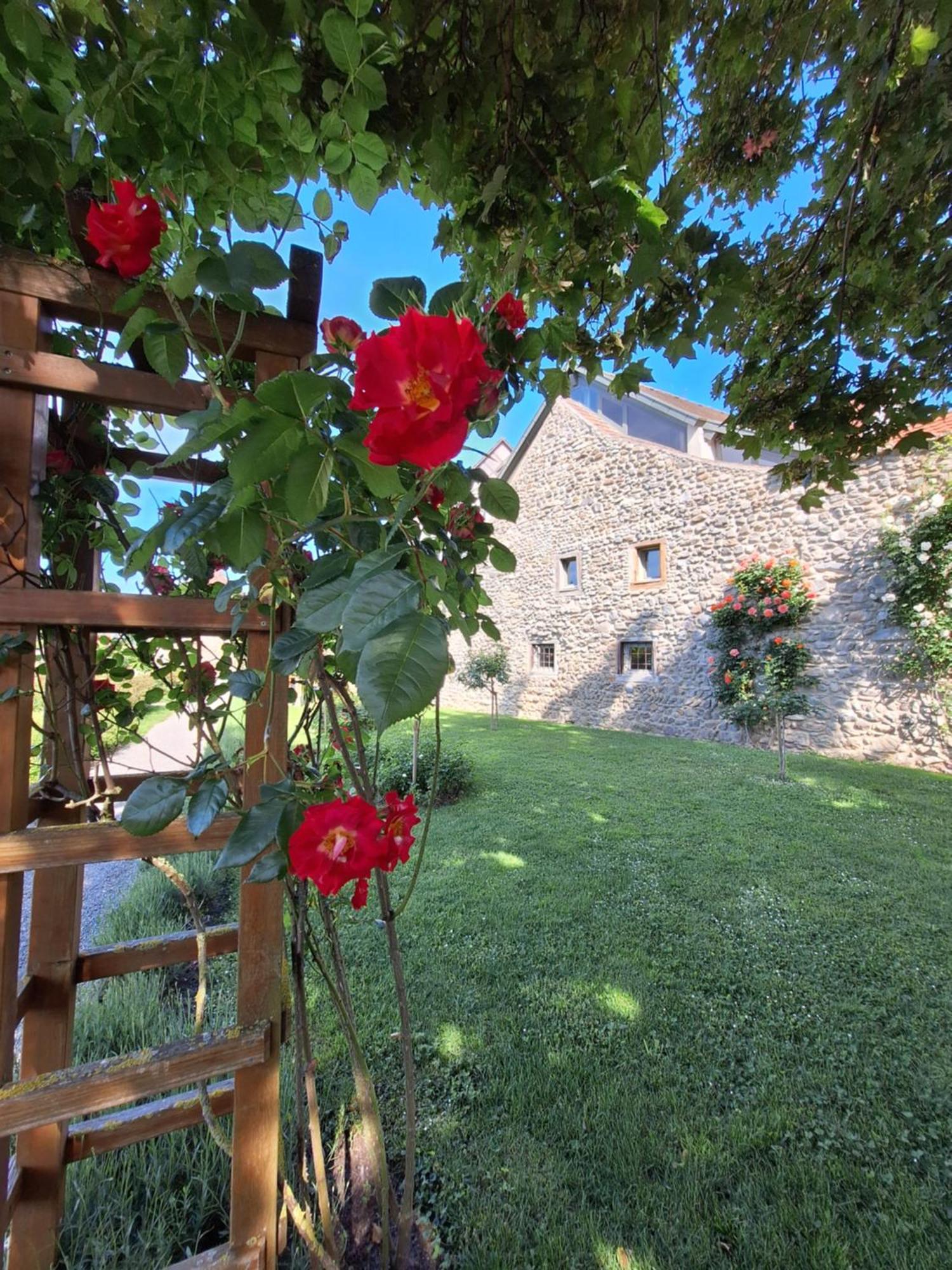 Ferienwohnung Ueberblick Radolfzell am Bodensee Dış mekan fotoğraf