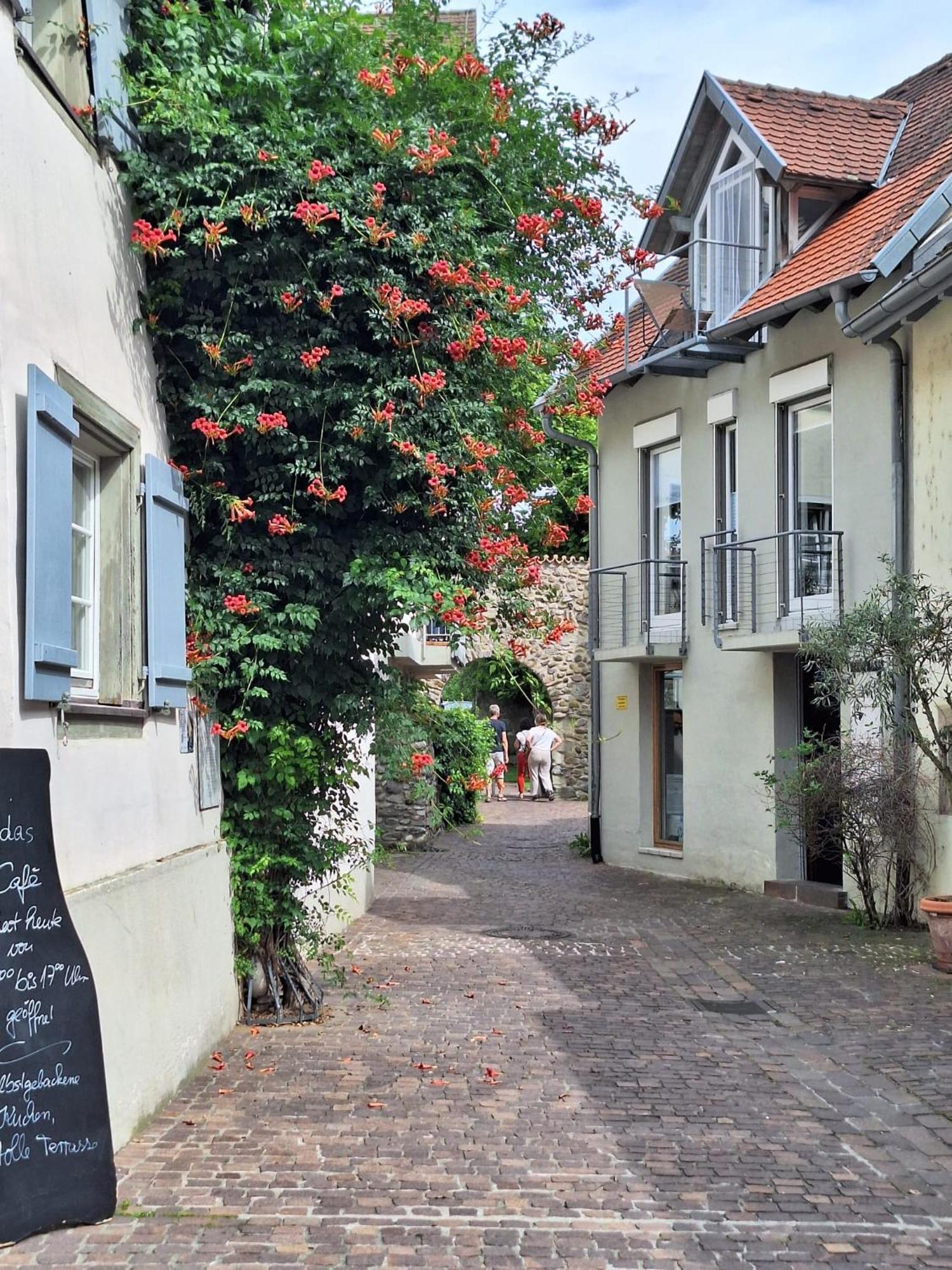 Ferienwohnung Ueberblick Radolfzell am Bodensee Dış mekan fotoğraf