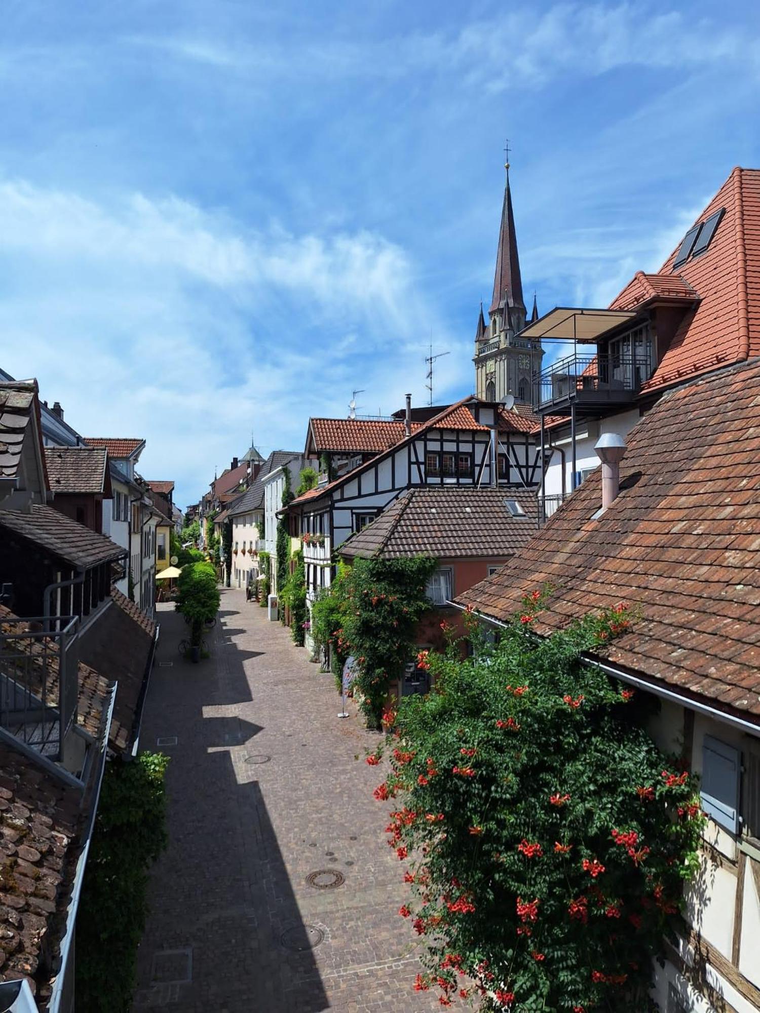 Ferienwohnung Ueberblick Radolfzell am Bodensee Dış mekan fotoğraf